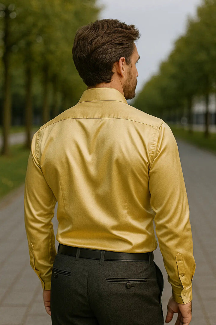 Heren Overhemd Slim Fit Lange Mouwen - Feest & Smoking
